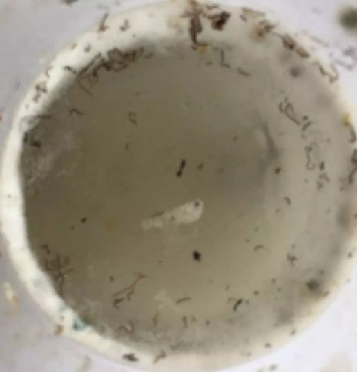 管道疏通铝颗粒就是这么神奇，再也不怕管道堵塞了